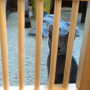 Katya and Buffy and the new door 004