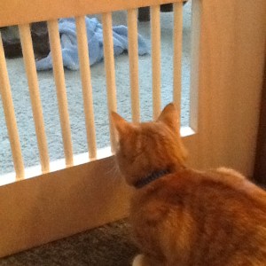 Katya and Buffy and the new door 019