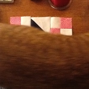 shoestrings of ribbon, first block from class 003