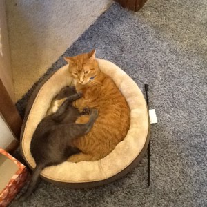 Buffy and Katya in the same bed 002