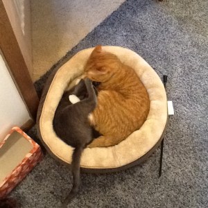 Buffy and Katya in the same bed 003