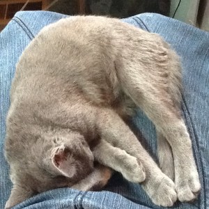 Katya in the sewing room 003