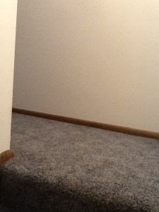 no cardtables, wicker bear chair, 002