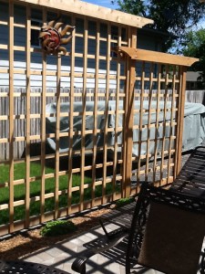 Cassie's nightie, damn trellis, firepit poker 007